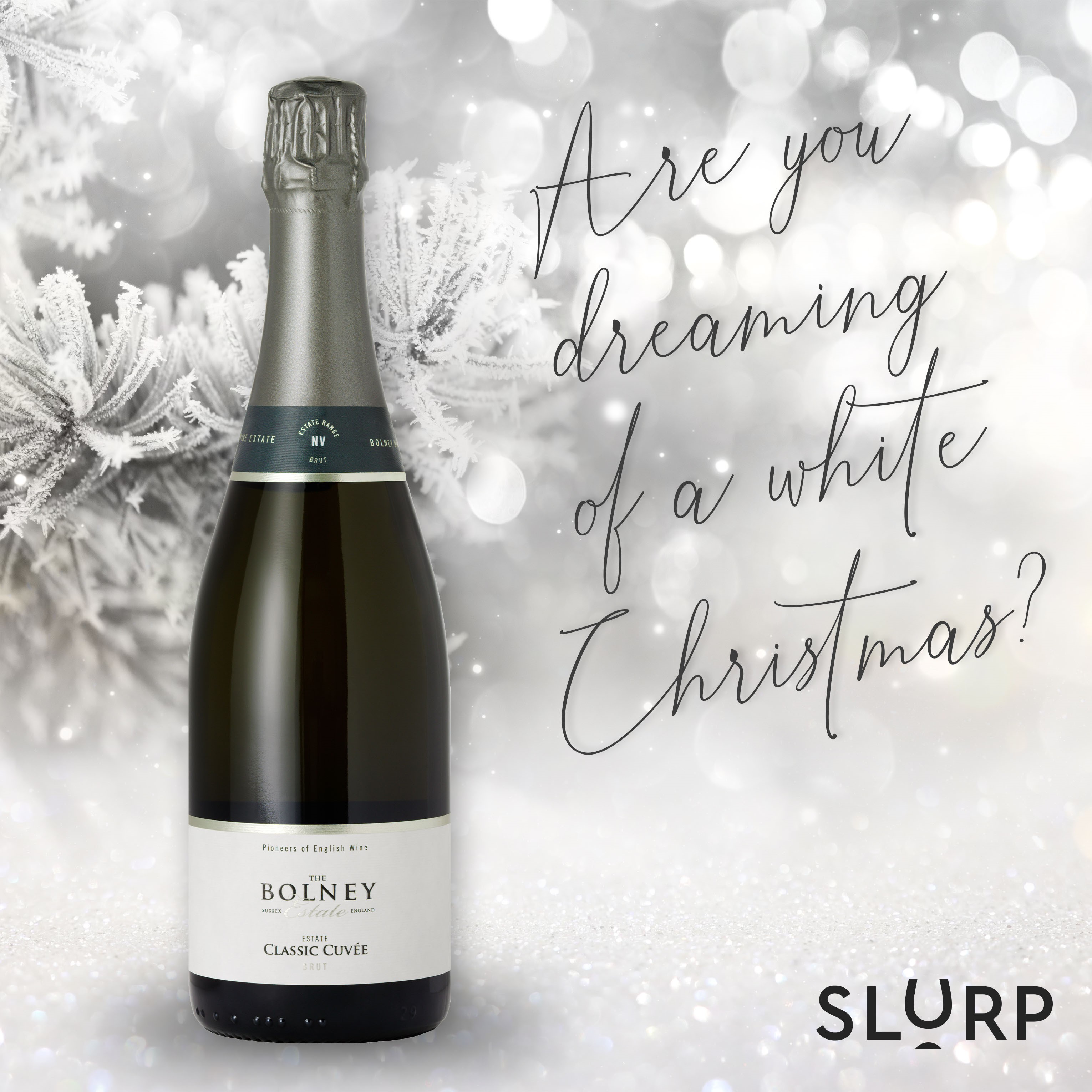 Are you dreaming of a white Christmas? The best white wines for the festive season.