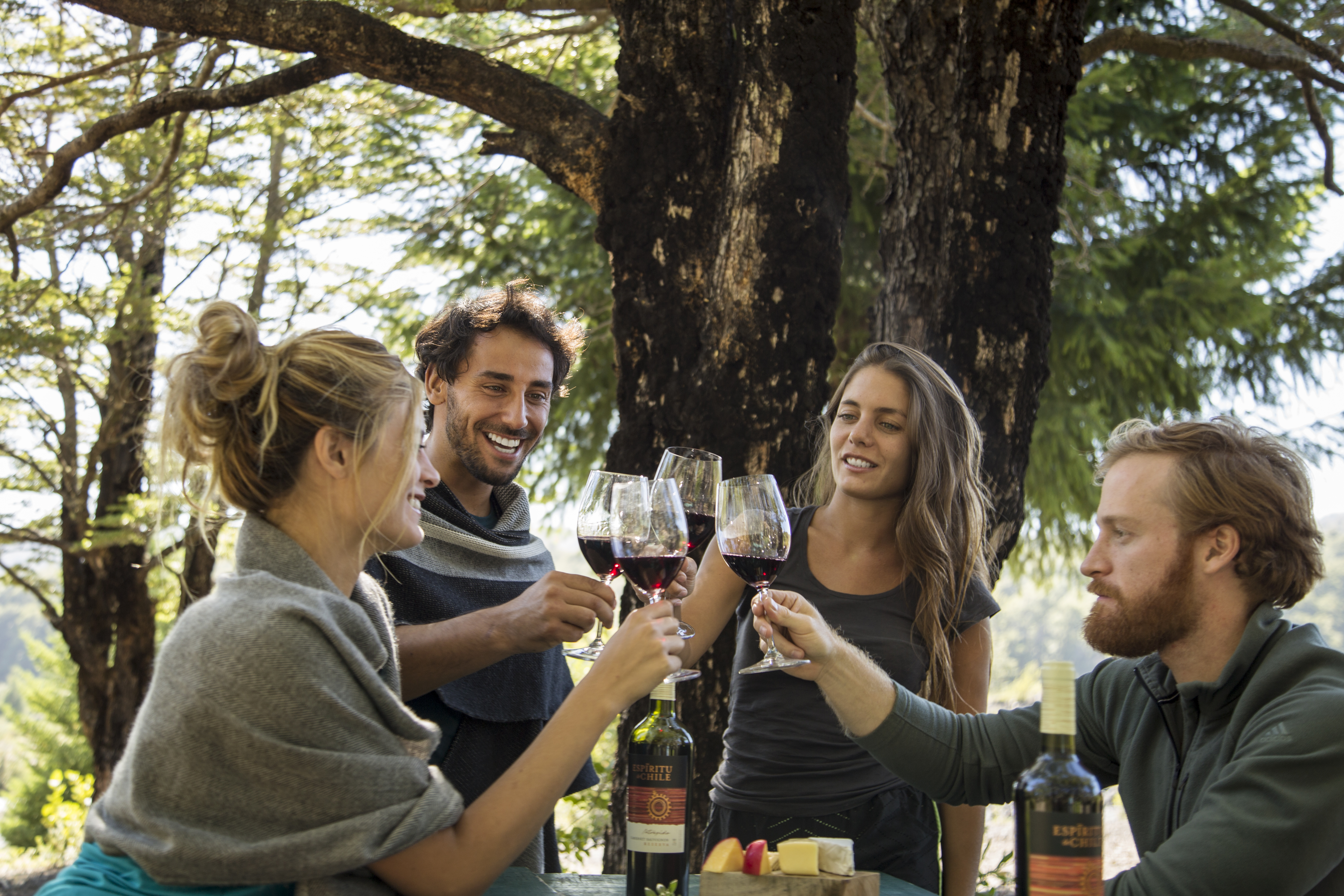 Espíritu de Chile – Capturing the Spirit of Chile through Wine