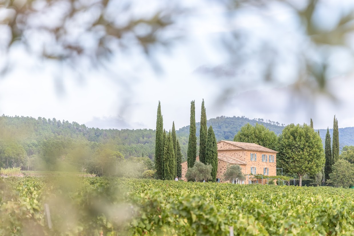 Domaine Mirabeau:  Ten Years in Provence