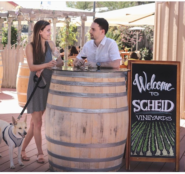 Welcome_to_Scheid_Vineyards_1_.jpg