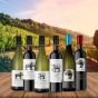 Care for Wild Tasting Case - FREE Cooler!