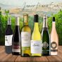 The James Davis Master of Wine Case - 6 Wines- SAVE OVER £15