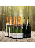 Champagne Mixed Case 2023 - 6 Bottles - Save Over £20