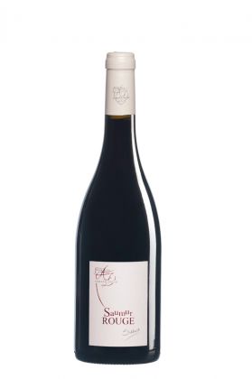 Domaine Armand David Le Siebrit Saumur Rouge 2020