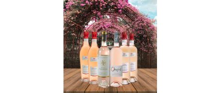Provence Rosé Case – 6 bottles – SAVE over £10