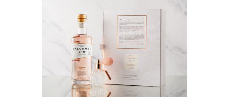 Salcombe Rosé Sainte Marie Gin and Seamist Spray Gift Set