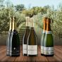 Champagne Mixed Case - 6 Bottles - Save £30