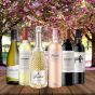 Spring Essentials 2024 - 6 Bottles for £50  –  SAVE Over £15